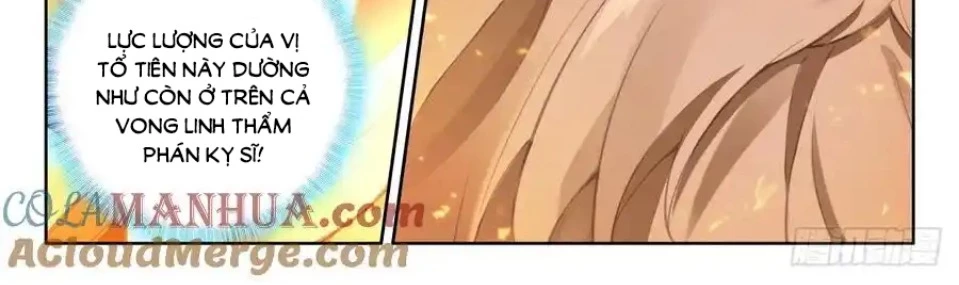 Thần Ấn Vương Tọa Chapter 307 - 12