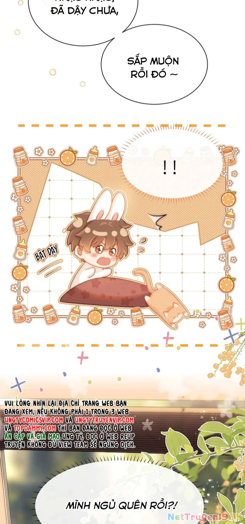 Chất Dị Ứng Đáng Yêu Chapter 1 - 5