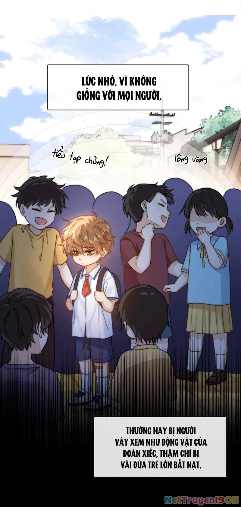 Chất Dị Ứng Đáng Yêu Chapter 5 - 13