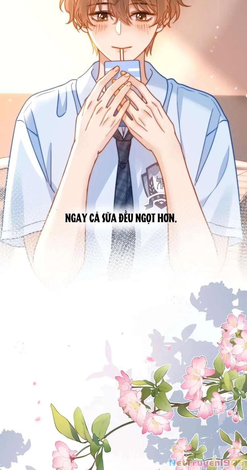 Chất Dị Ứng Đáng Yêu Chapter 5 - 33