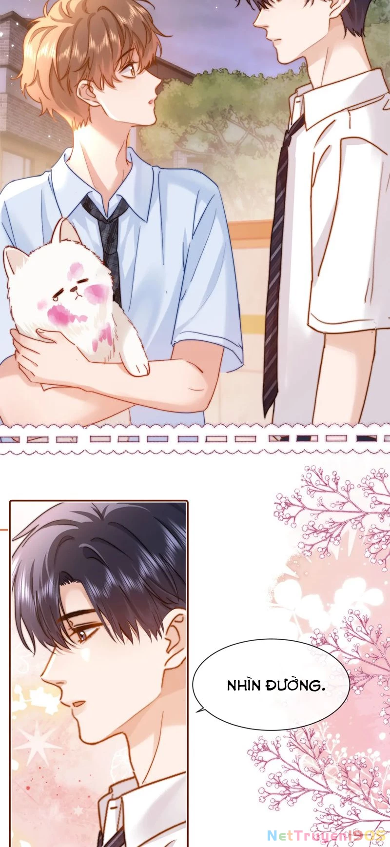 Chất Dị Ứng Đáng Yêu Chapter 13 - 8