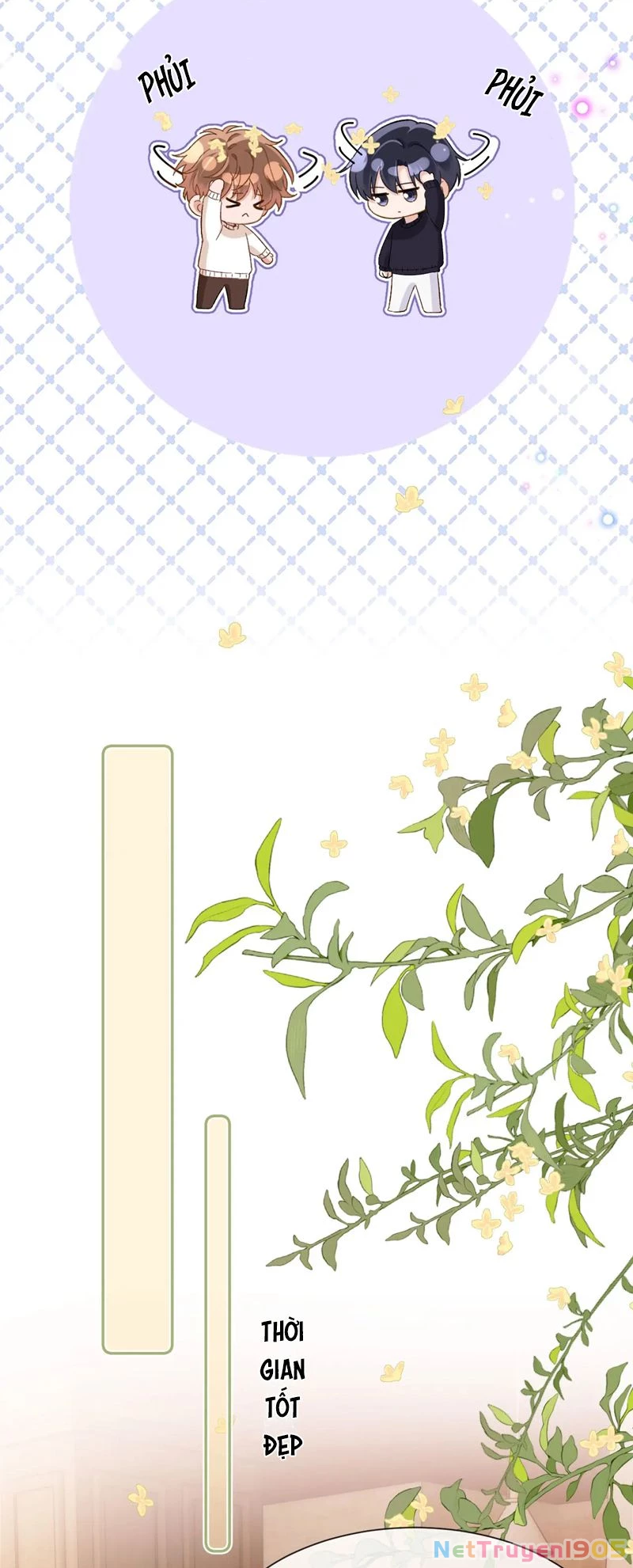 Chất Dị Ứng Đáng Yêu Chapter 33 - 19