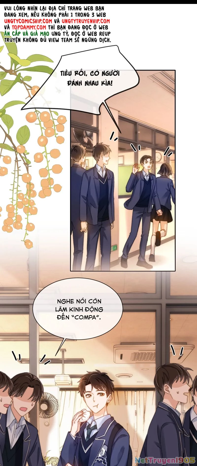 Chất Dị Ứng Đáng Yêu Chapter  35 - 15