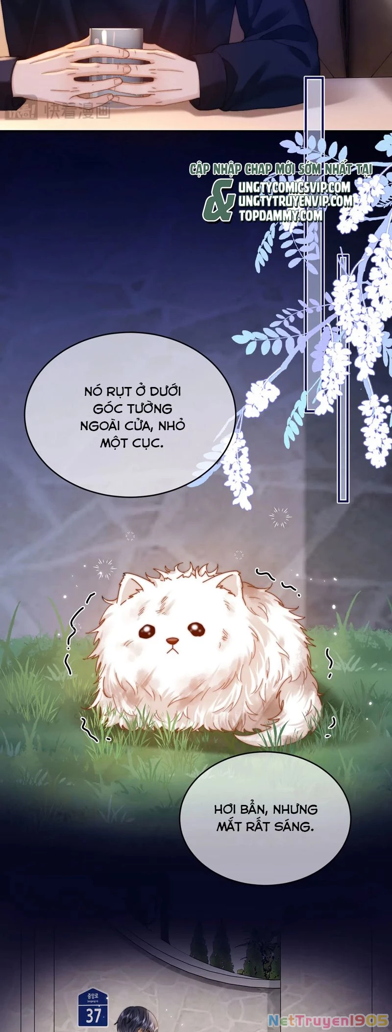 Chất Dị Ứng Đáng Yêu Chapter  52 - 3