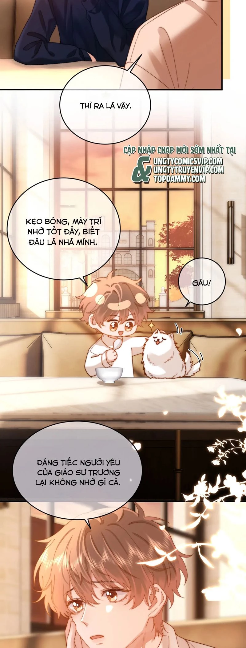 Chất Dị Ứng Đáng Yêu Chapter  52 - 7