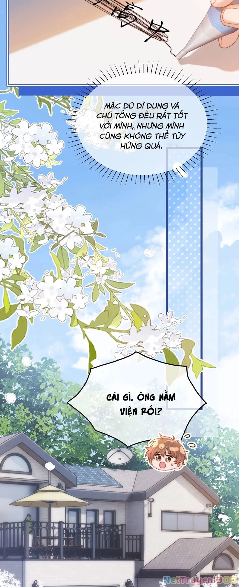 Chất Dị Ứng Đáng Yêu Chapter  52 - 25