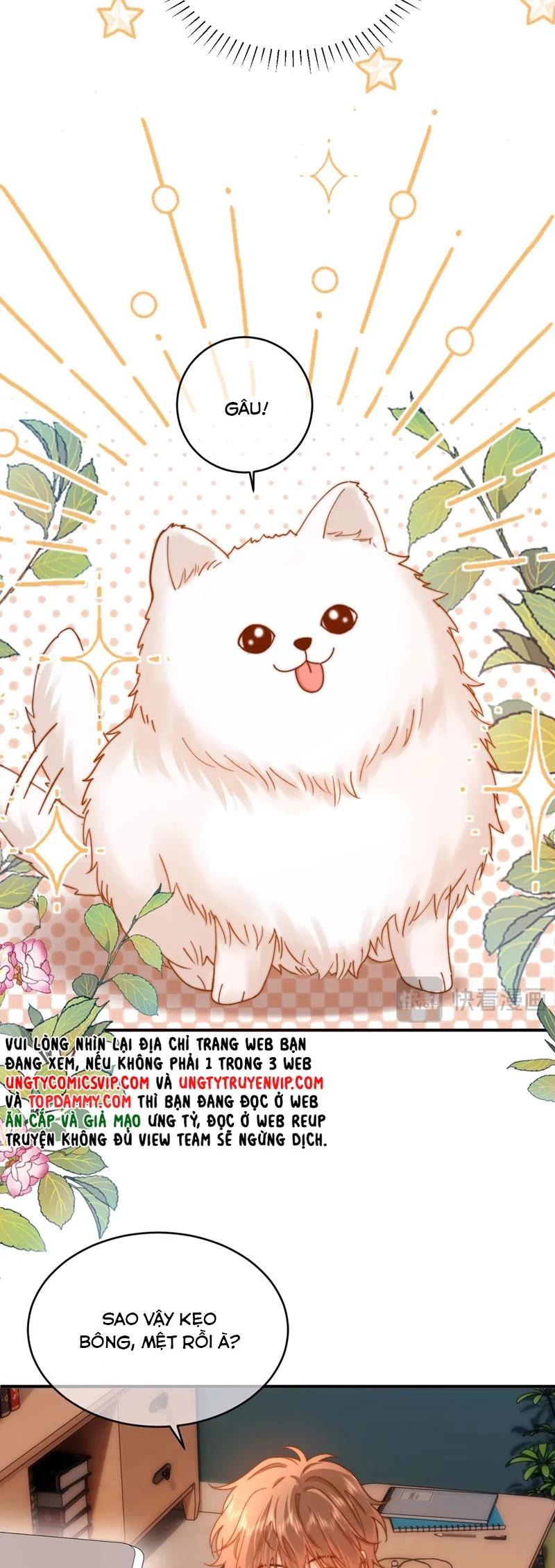 Chất Dị Ứng Đáng Yêu Chapter  55 - 23