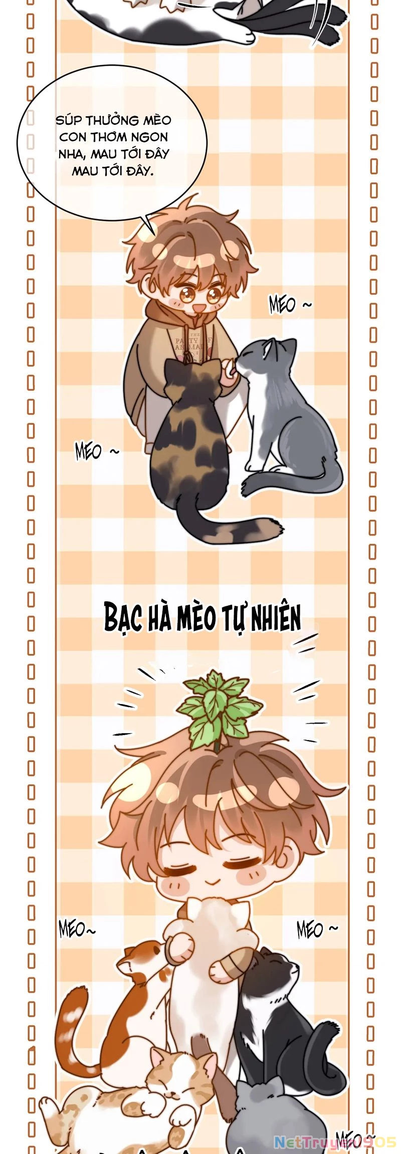 Chất Dị Ứng Đáng Yêu Chapter 61 - 4