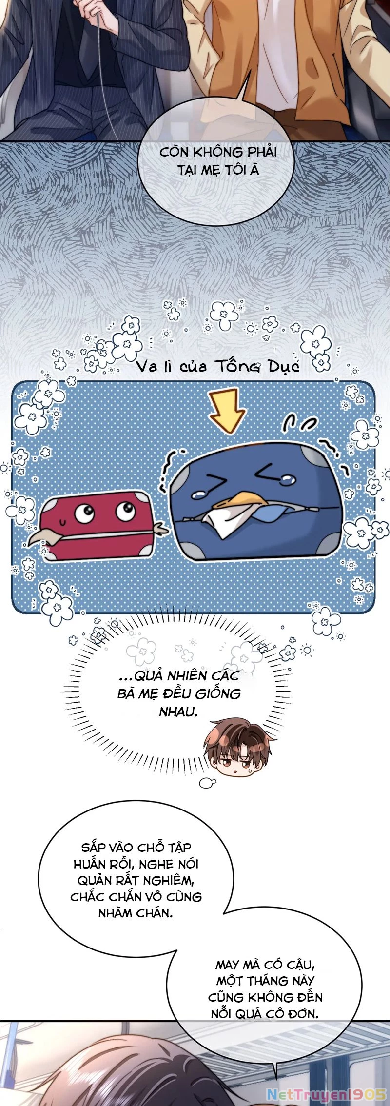 Chất Dị Ứng Đáng Yêu Chapter 62 - 8