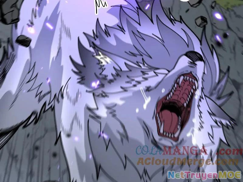Lão xà tu tiên truyện Chapter 11 - 107