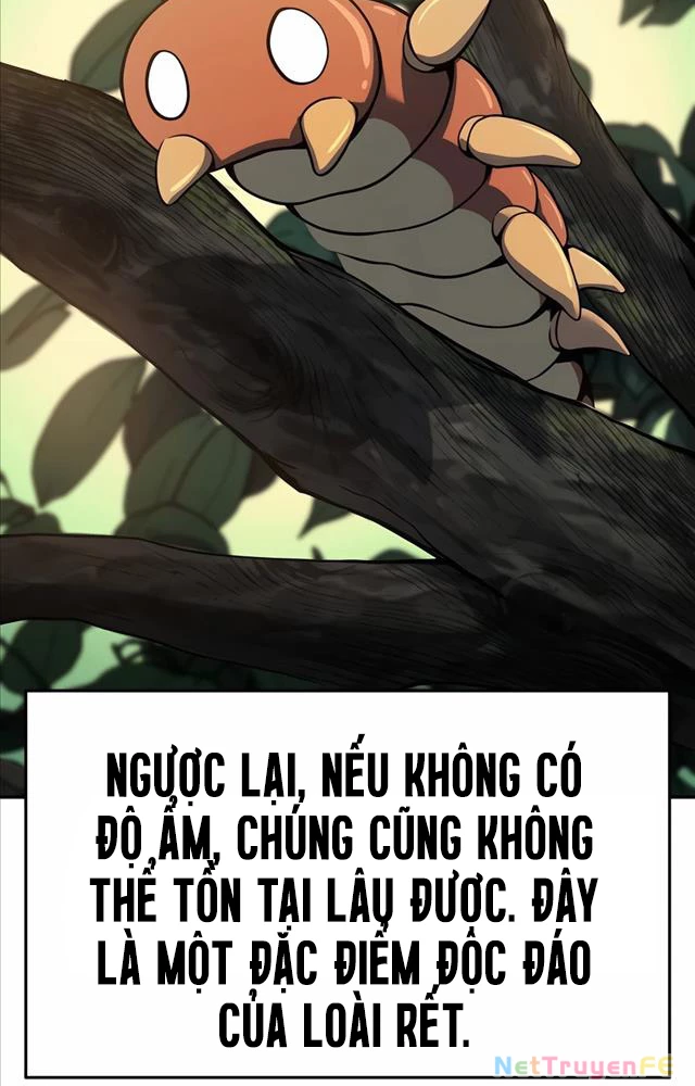 Chuyên Gia Côn Trùng tại Đường Gia Tứ Xuyên Chapter 3 - 37