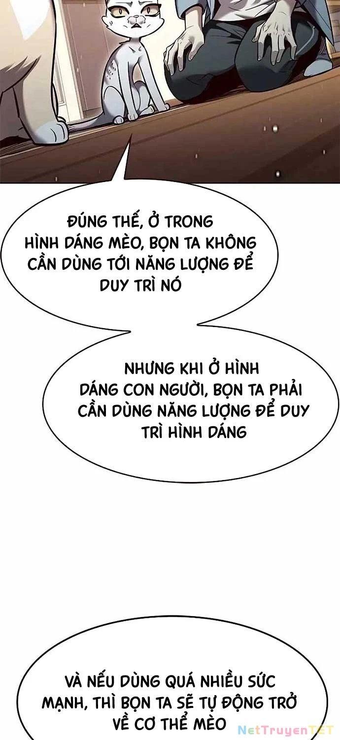 Hoá Thân Thành Mèo Chapter 323 - 53