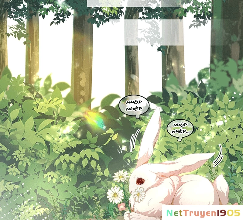 Tôi Trùng Sinh Trở Thành Tiểu Ác Long Của Vương Tử Điện Hạ Chapter 15 - 9