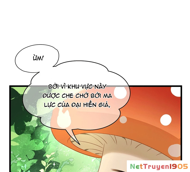 Tôi Trùng Sinh Trở Thành Tiểu Ác Long Của Vương Tử Điện Hạ Chapter 15 - 13