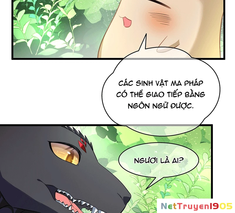 Tôi Trùng Sinh Trở Thành Tiểu Ác Long Của Vương Tử Điện Hạ Chapter 15 - 14