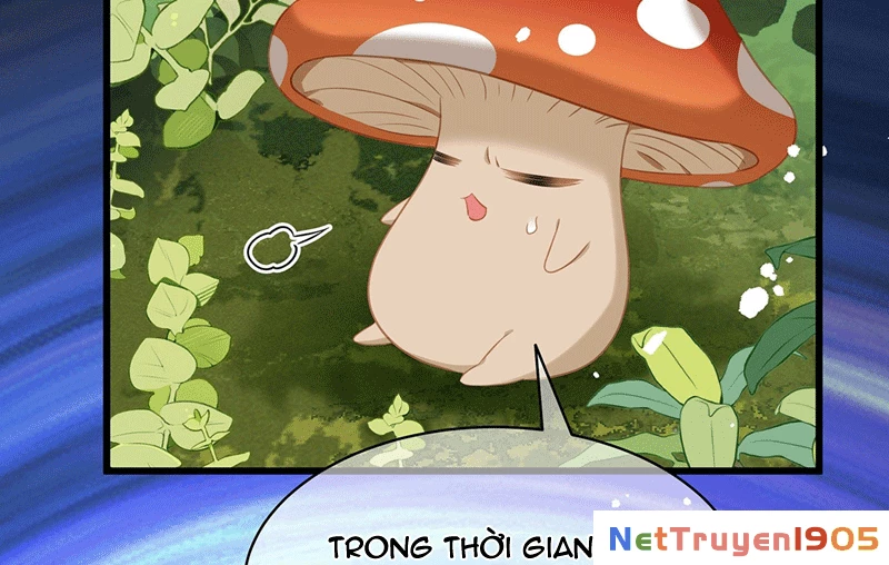 Tôi Trùng Sinh Trở Thành Tiểu Ác Long Của Vương Tử Điện Hạ Chapter 15 - 35