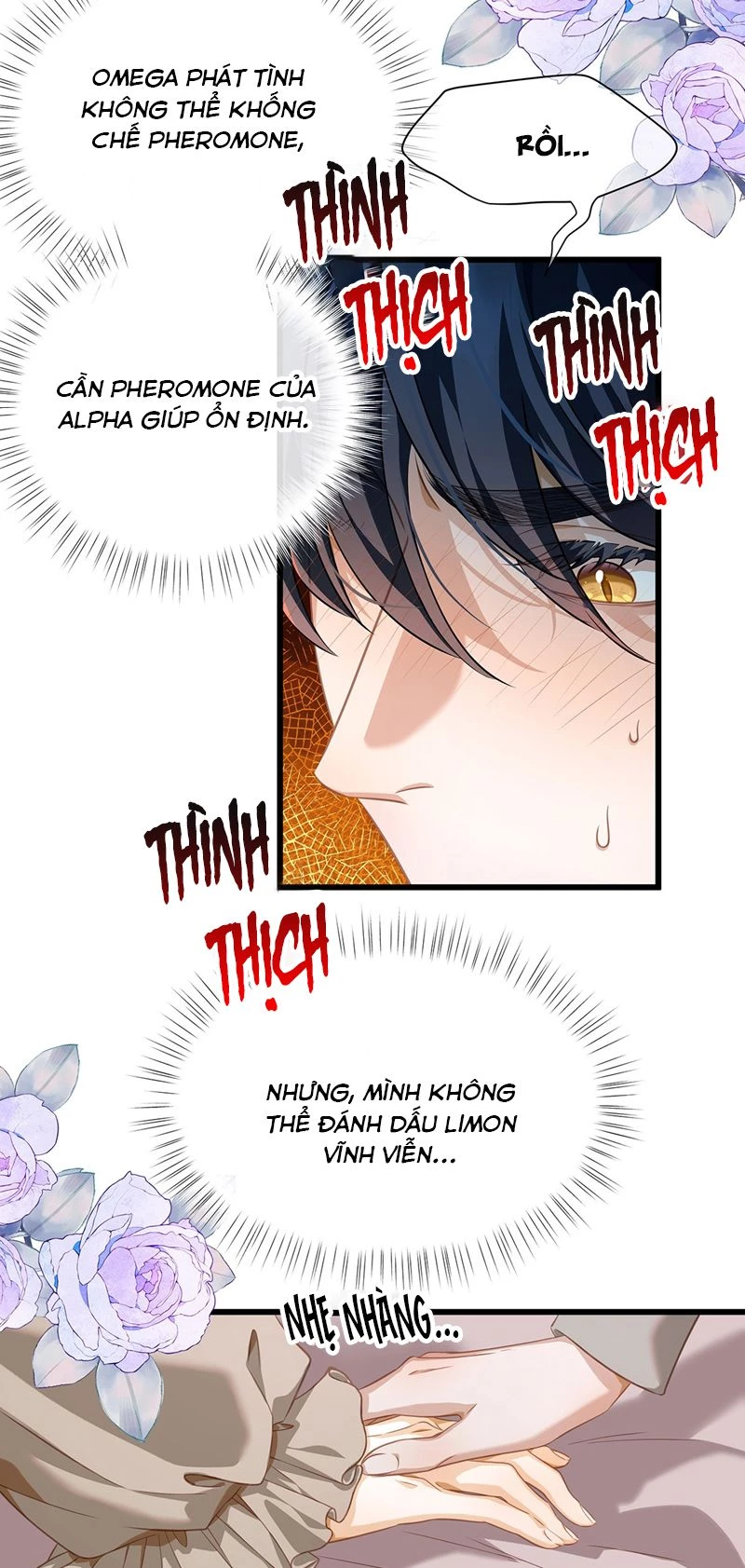 Tôi Trùng Sinh Trở Thành Tiểu Ác Long Của Vương Tử Điện Hạ Chapter 30 - 26