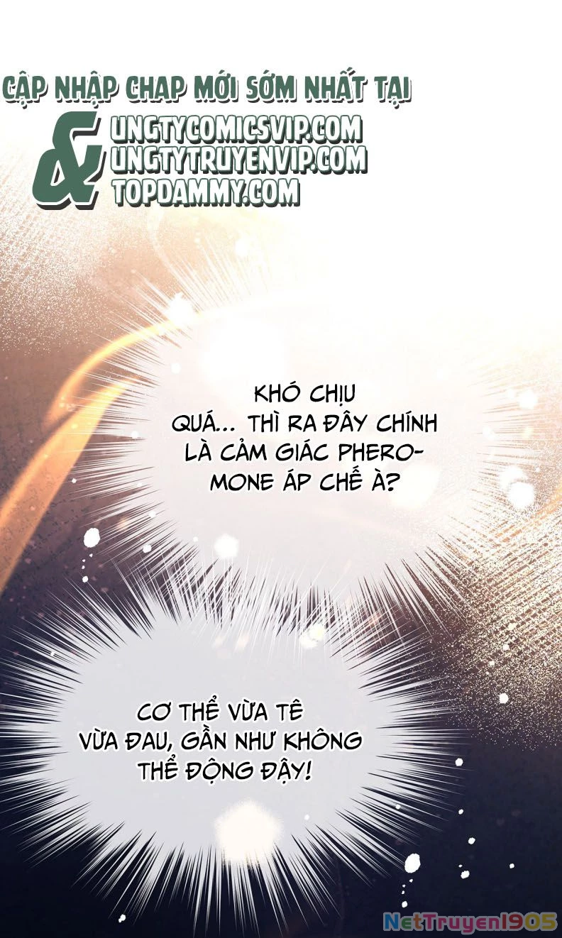 Tôi Trùng Sinh Trở Thành Tiểu Ác Long Của Vương Tử Điện Hạ Chapter 31 - 9