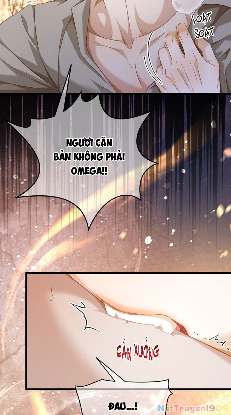 Tôi Trùng Sinh Trở Thành Tiểu Ác Long Của Vương Tử Điện Hạ Chapter 31 - 11