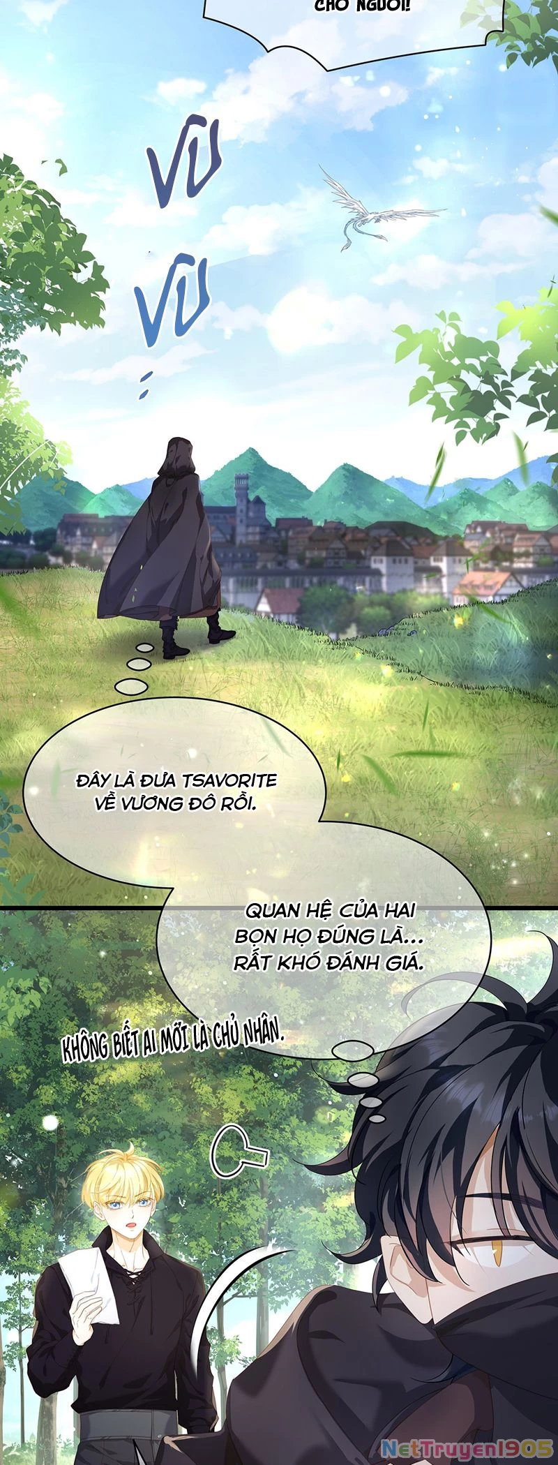 Tôi Trùng Sinh Trở Thành Tiểu Ác Long Của Vương Tử Điện Hạ Chapter 44 - 13