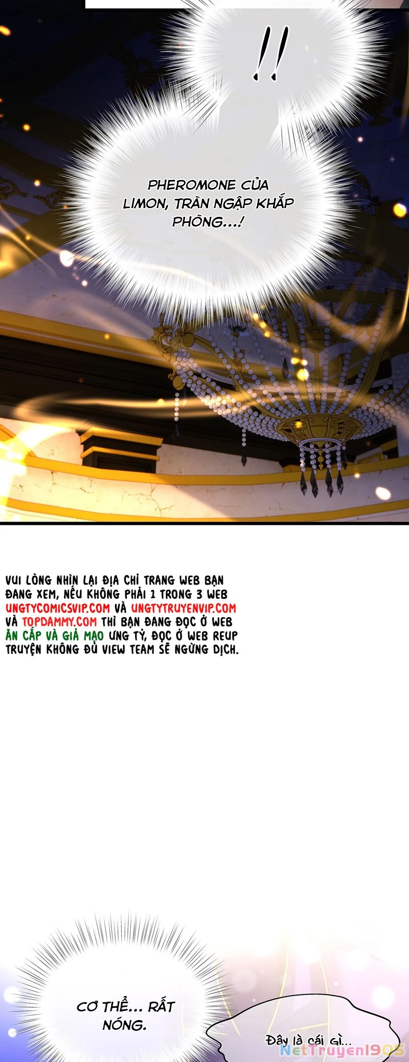 Tôi Trùng Sinh Trở Thành Tiểu Ác Long Của Vương Tử Điện Hạ Chapter 50 - 5