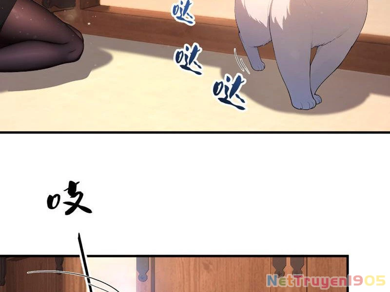 Ảo Ma! Ta Mở Lớp Huấn Luyện Nữ Đế! Chapter  8 - 17