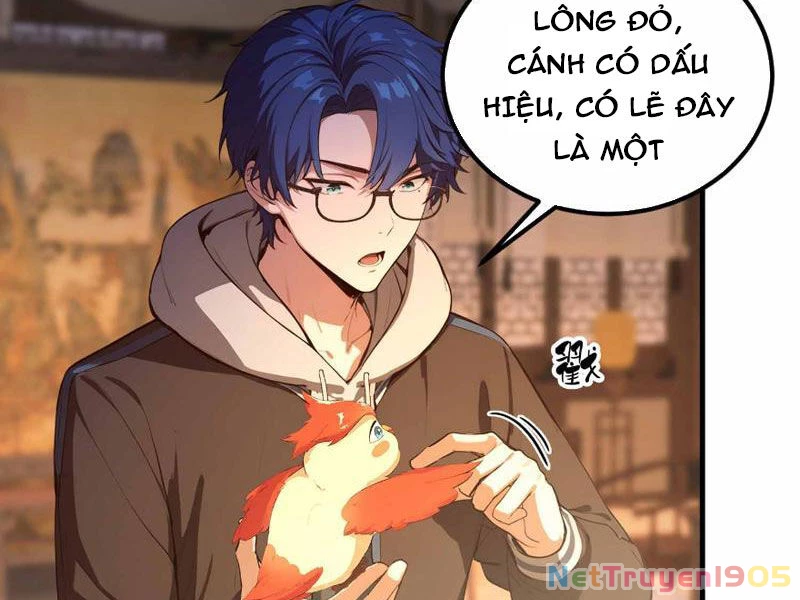 Ảo Ma! Ta Mở Lớp Huấn Luyện Nữ Đế! Chapter  8 - 38