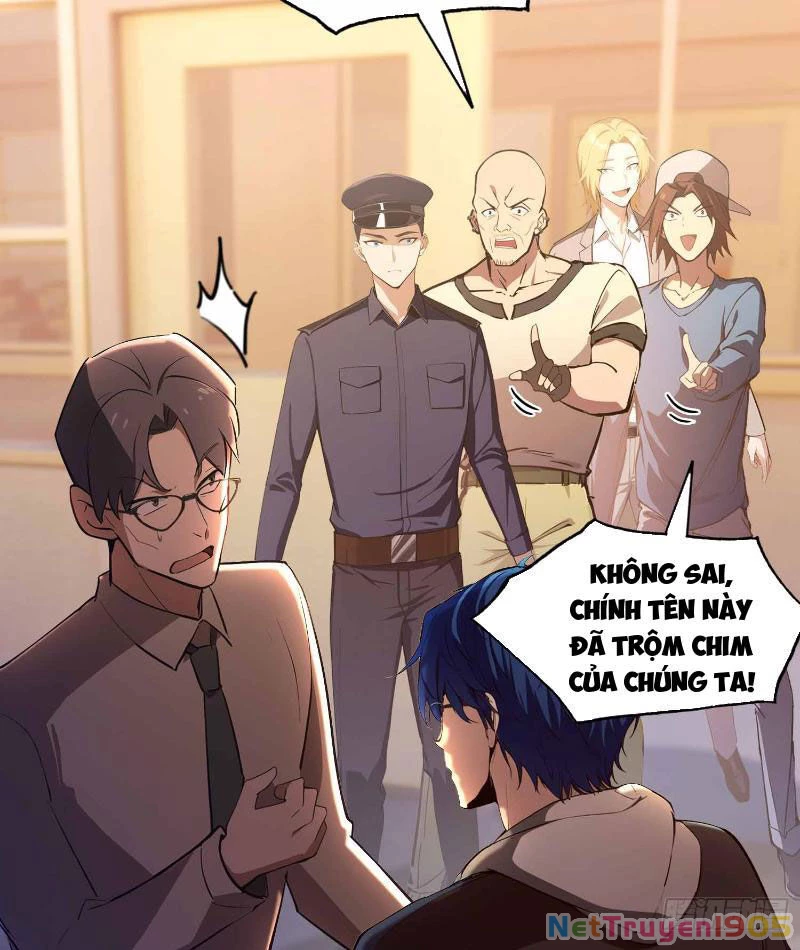 Ảo Ma! Ta Mở Lớp Huấn Luyện Nữ Đế! Chapter  9 - 17
