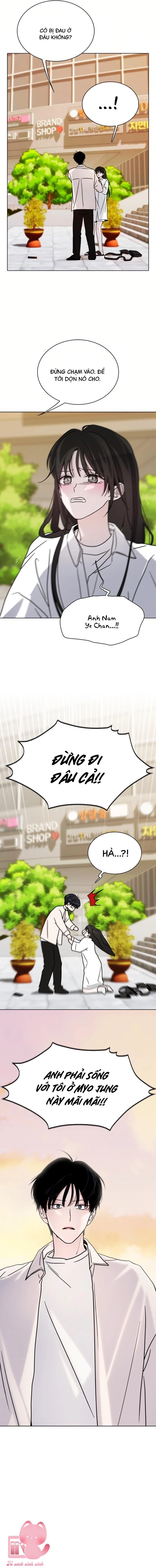 Hôn Trước Khi Ngủ Chapter 8 - 15