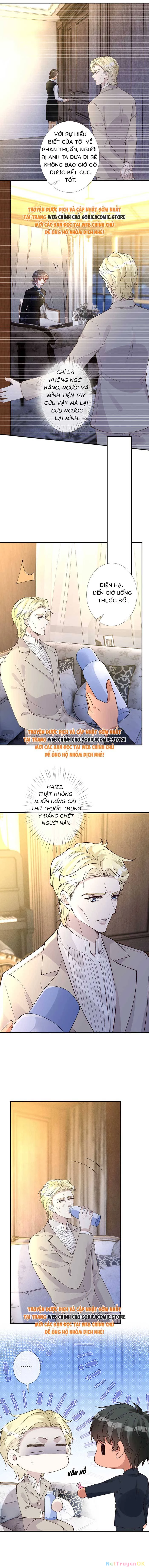 Ôm Khẩn Tiểu Mã Giáp Của Tôi Chapter 339 - 3