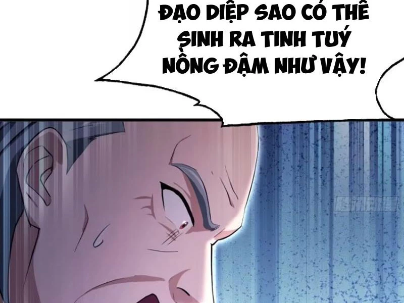 Hoá Ra Ta Đã Vô Địch Từ Lâu Chapter 205 - 17