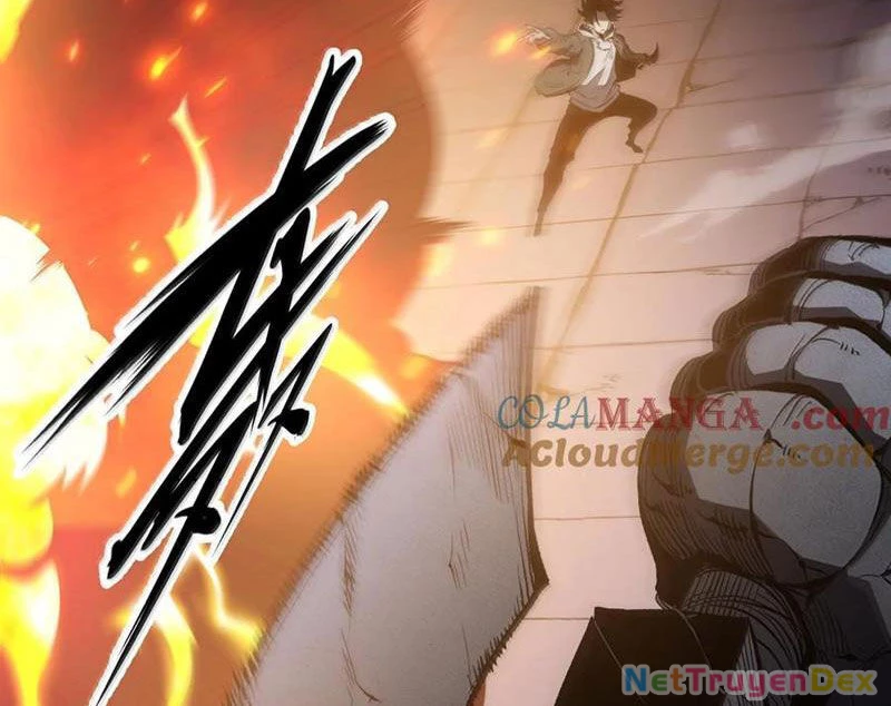 Ta Nhặt Rác Thượng Vương Giả Chapter 39 - 10