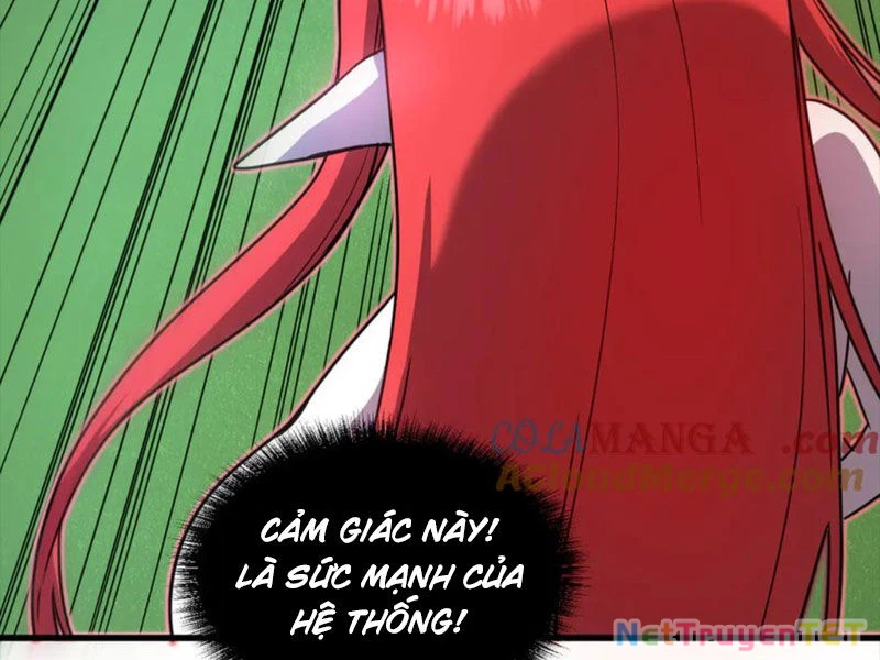 Hệ Thống Của Ta Thật Đứng Đắn Chapter 20 - Trang 2