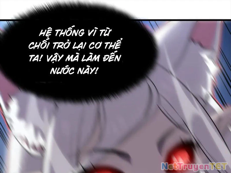 Hệ Thống Của Ta Thật Đứng Đắn Chapter 20 - Trang 2