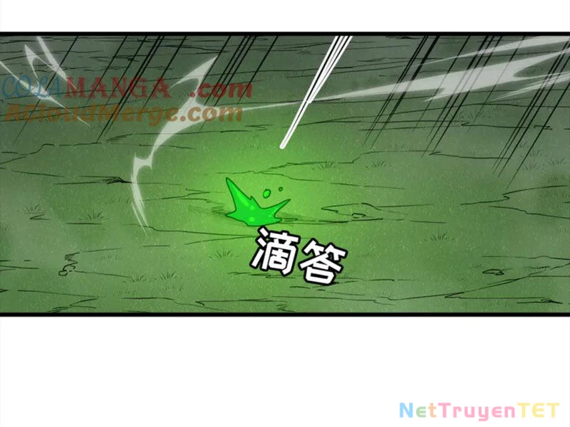 Hệ Thống Của Ta Thật Đứng Đắn Chapter 20 - Trang 2