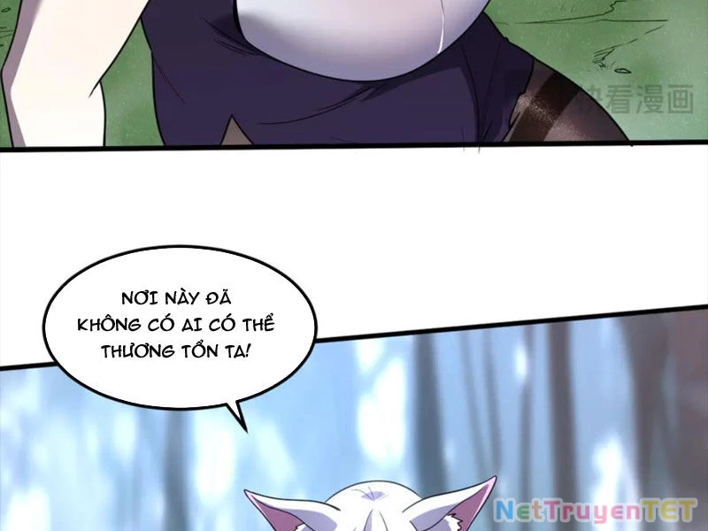 Hệ Thống Của Ta Thật Đứng Đắn Chapter 20 - Trang 2