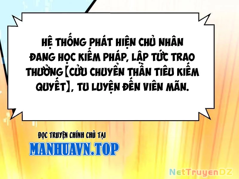 Hệ Thống Hèn Mọn Quỳ Xuống Cầu Xin Ta Vô Địch Chapter 12 - 11