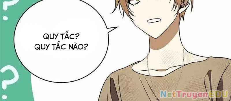 Đào Tạo Mấy Con Mắm Trong Tuyệt Vọng Chapter 17 - Trang 2
