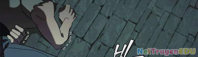 Đào Tạo Mấy Con Mắm Trong Tuyệt Vọng Chapter 19 - Trang 2