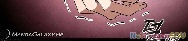 Đào Tạo Mấy Con Mắm Trong Tuyệt Vọng Chapter 23 - Trang 2