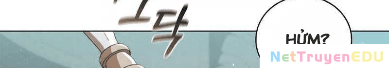 Đào Tạo Mấy Con Mắm Trong Tuyệt Vọng Chapter 29 - Trang 2