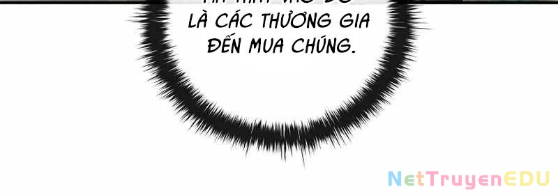 Đào Tạo Mấy Con Mắm Trong Tuyệt Vọng Chapter 31 - Trang 2