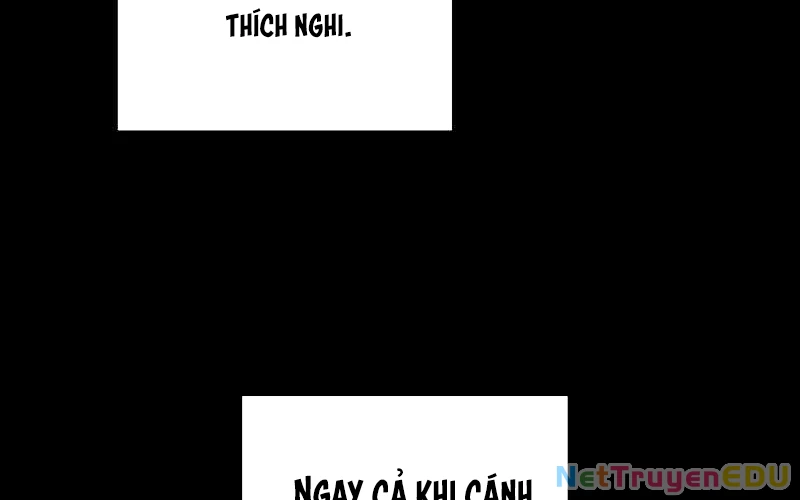 Đào Tạo Mấy Con Mắm Trong Tuyệt Vọng Chapter 36 - Trang 2