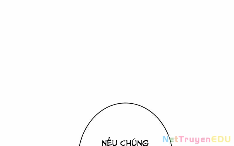 Đào Tạo Mấy Con Mắm Trong Tuyệt Vọng Chapter 37 - Trang 2