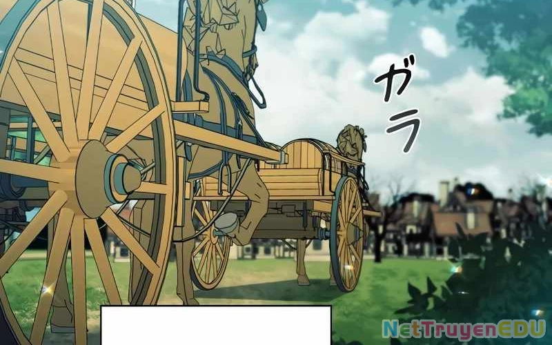 Đào Tạo Mấy Con Mắm Trong Tuyệt Vọng Chapter 37 - Trang 2