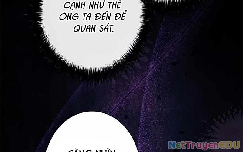 Đào Tạo Mấy Con Mắm Trong Tuyệt Vọng Chapter 39 - Trang 2
