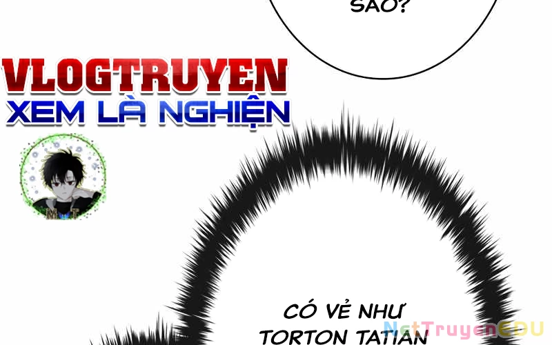 Đào Tạo Mấy Con Mắm Trong Tuyệt Vọng Chapter 41 - 217