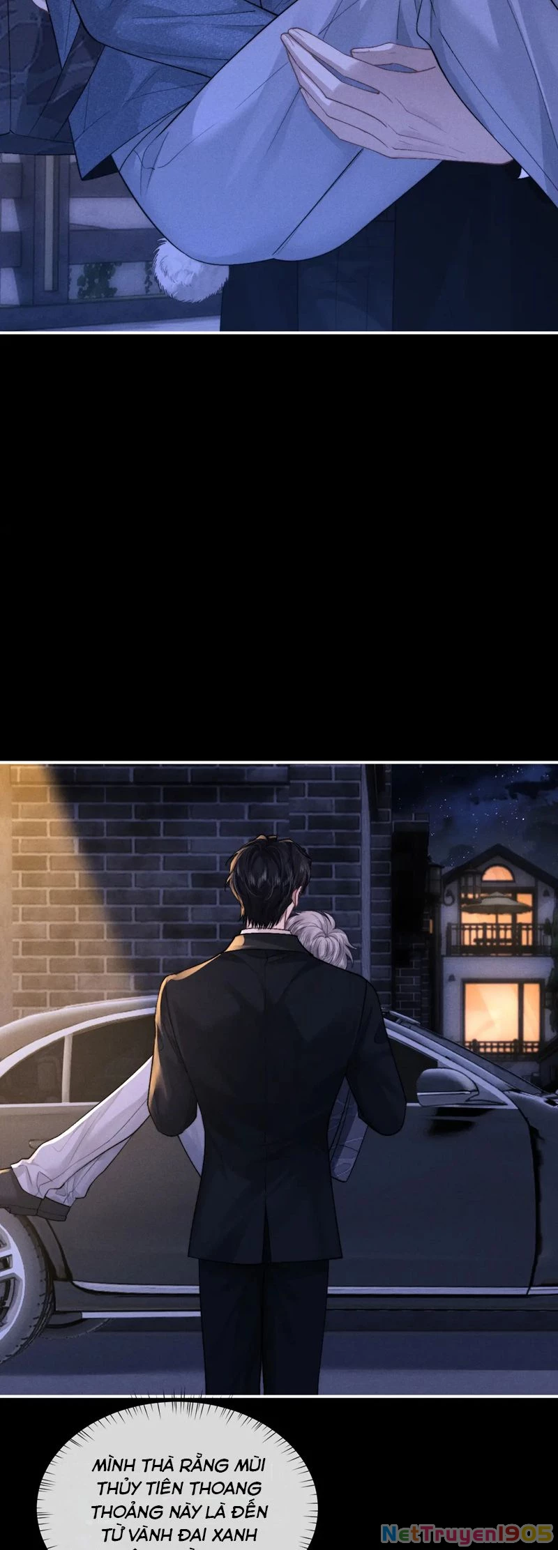 Chấp Sự Thỏ Cụp Tai Chapter 130 - 10