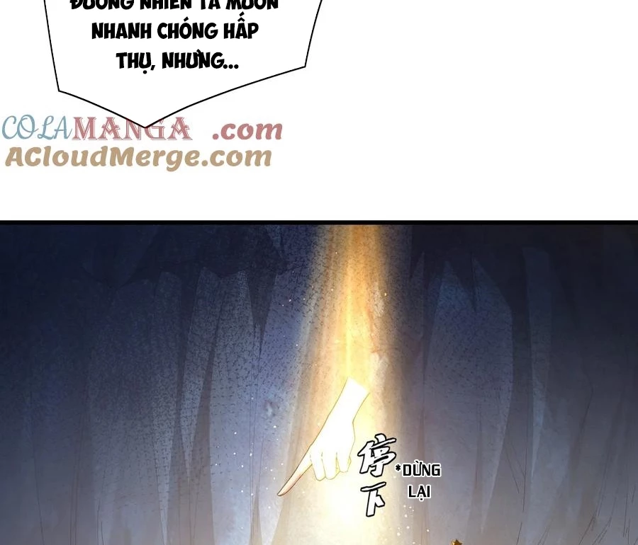 Thánh Nữ, Xin Hãy Dừng Ngay Những Trò Quái Đản Của Cô Đi!! Chapter 82 - 19