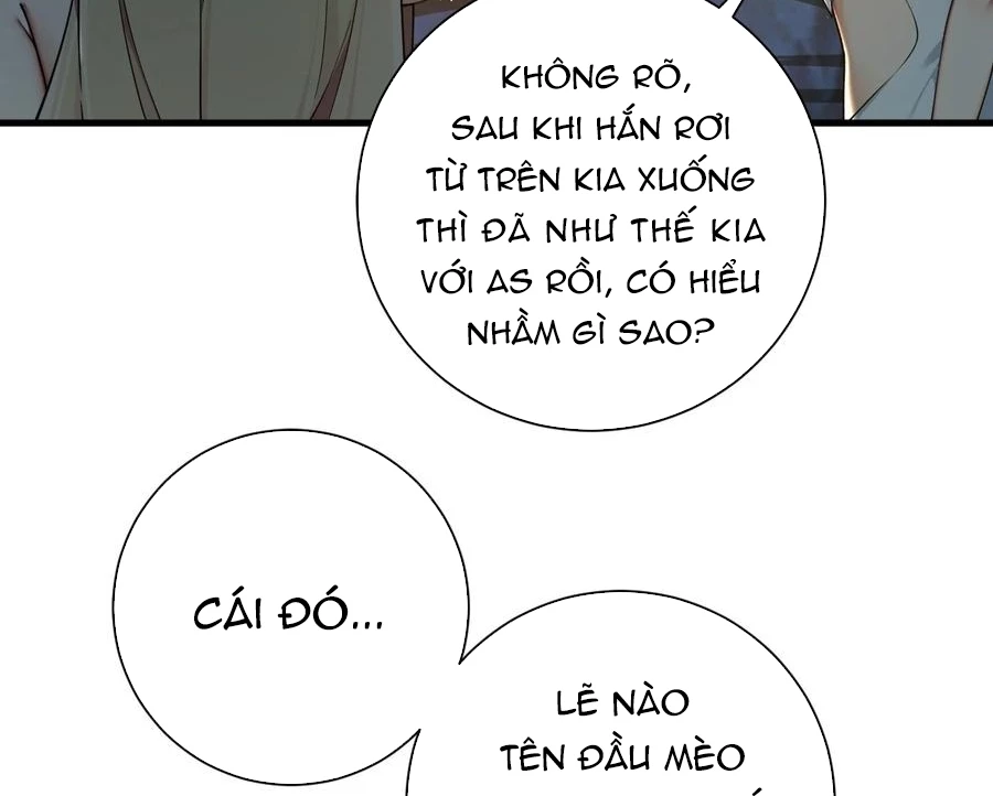 Thánh Nữ, Xin Hãy Dừng Ngay Những Trò Quái Đản Của Cô Đi!! Chapter 82 - 41